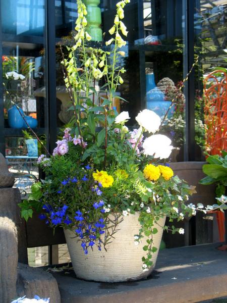 CE Pots 2012-05 007